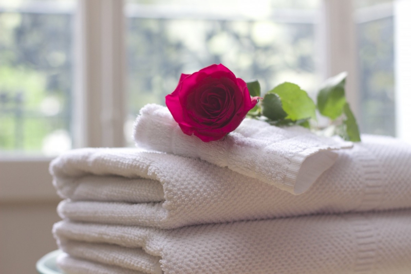 chambre-hote-SOLLIES PONT-min_towel_rose_clean_care_salon_spa_white_bath-731641